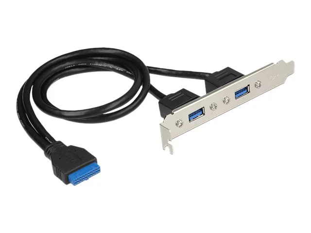 Delock Slotblech 2x USB3.0 extern