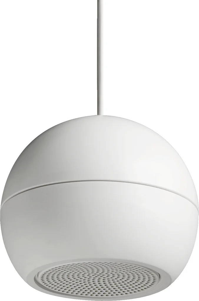 EDL-416EN/WS ELA-Lautsprecher