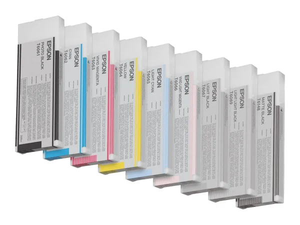 EPSON 5LB T6067 ink cartridge light blac