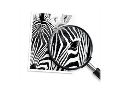 HP 364 Tinte cyan Vivera (DE)