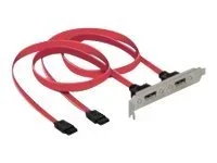 DELOCK Slotblech int 2xSATA zu2xeSATAext