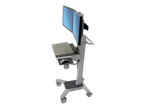 ERGOTRON Neo-Flex Dual Wide View