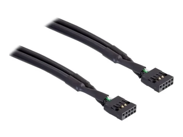 DELOCK Kabel USB Pinhead Bu-Bu 10pin50cm