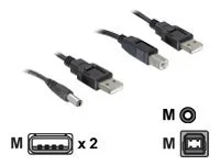 DELOCK Kabel USB Power-Kabelset>DC+USB-B