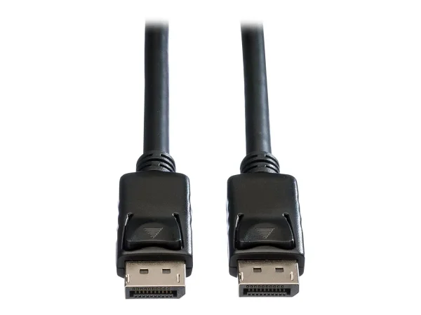 ROLINE DisplayPort Kabel DP ST - ST 10m