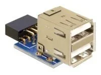 DELOCK MBz USB Ph Bu >2x USB2.0-A Bu V