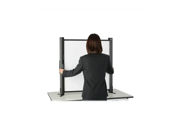 EPSON ELPSC32 127cm Leinwand