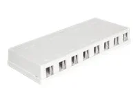 DELOCK Keystone Leergehäuse 8 Port