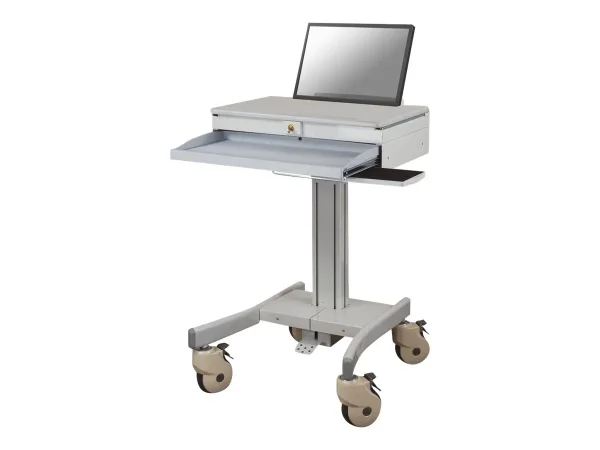 NEOMOUNTS MED-M100