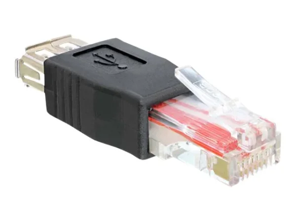 DELOCK Adapter USB 2.0-A Bu > RJ45 St