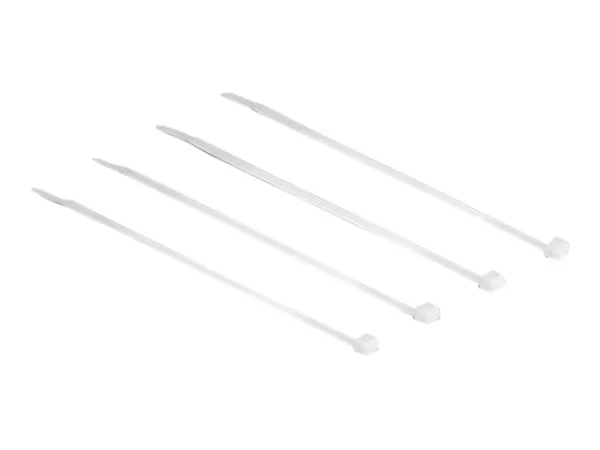 DELOCK Kabelbinder 100 Stk L100 x B2.5mm