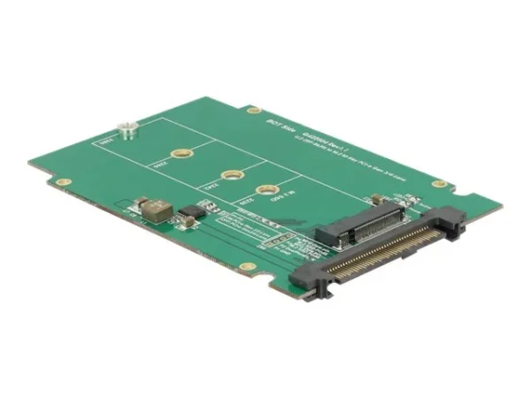 DELOCK 2.5 Konverter U.2 SFF-8639 > M.2