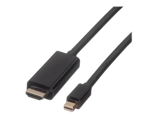 ROLINE Mini DisplayPort Kabel 2m
