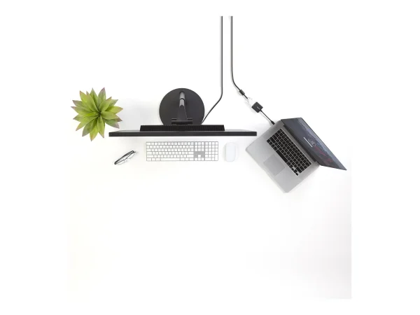 STARTECH mDP to DVI Adapter