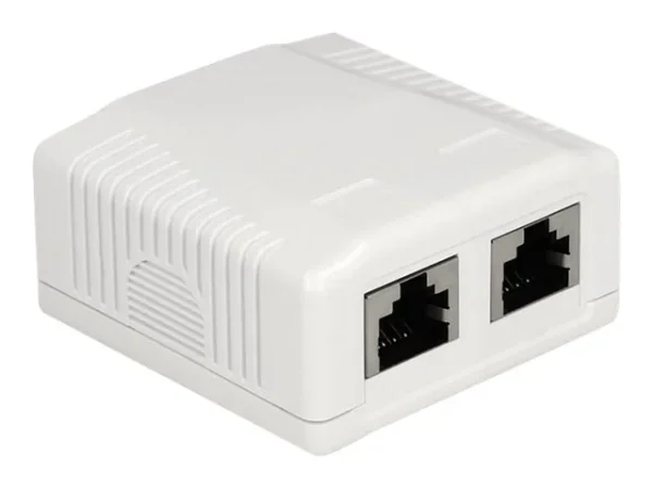 DELOCK Anschlussdose 2 Port Cat.6A LSA