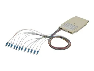 ASSMANN Spleisskassette mit 12 Pigtails