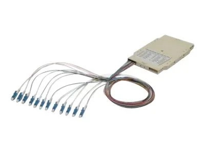 ASSMANN Spleisskassette mit 12 Pigtails