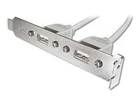 ASSMANN USB Slotblechkabel 2x Typ A