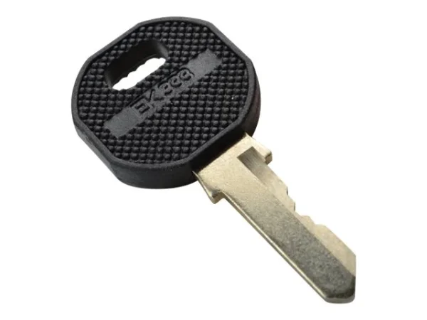 DIGITUS Schlüssel für DN-19 PHS Data