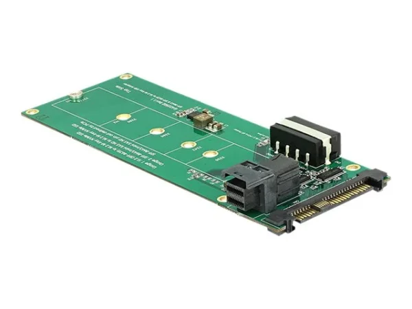 DELOCK Konverter U.2 SFF-8639 /SFF-8643