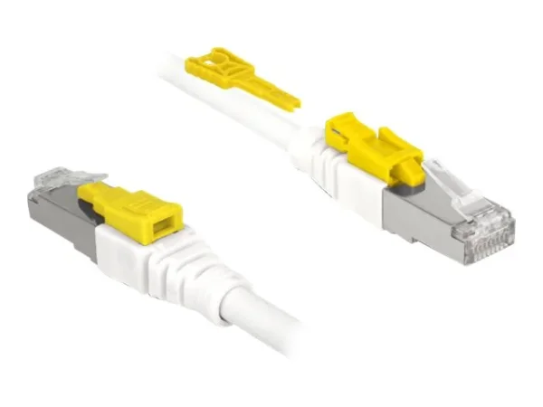 DELOCK Kabel RJ45 Secure Cat.6A 1 m