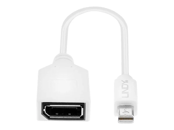 LINDY Adapterkabel Mini-DP M/DP F