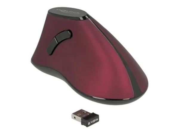 DELOCK Ergonomische vertikal Maus