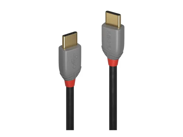 LINDY 1m USB 2.0 Typ C Kabel Anthra
