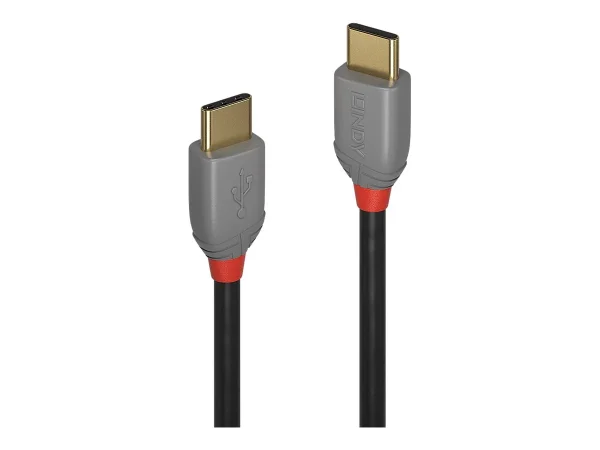LINDY 3m USB 2.0 Typ C Kabel Anthra