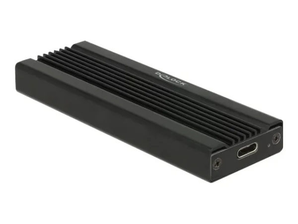 DELOCK Externes Gehäuse für M.2 NVMe