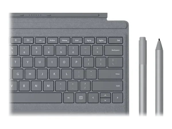 MS Srfc Pen 25Pk (XZ/NL/FR/DE) Platin