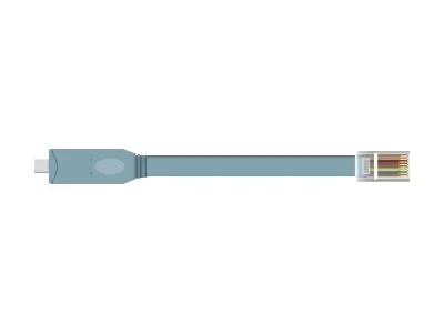 DELOCK Adapter USB 2.0 Typ-C > 1xSeriell
