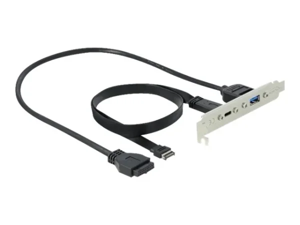 DELOCK Slotblech mit 1 x USB Type-C Port