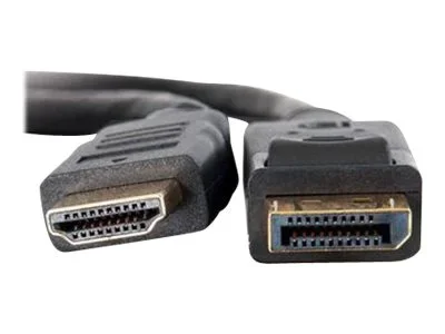 TECHLY Konverterkabel DisplayPort 1m