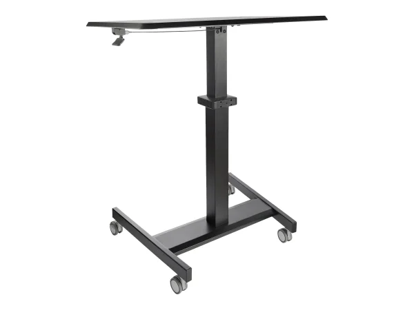 STARTECH Mobile Stehpult - tragbar