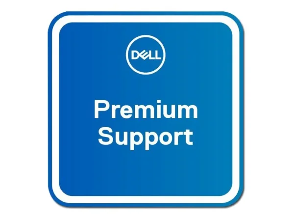 DELL 1Y Coll&Rtn to 3Y Prem Spt