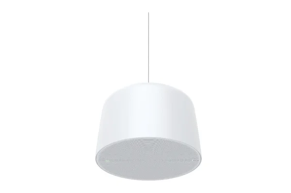 AXIS AXIS C1510 NETWORK PENDANT SPEAKER