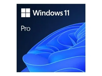 MS SB Windows 11 Pro 64bit [UK] DVD