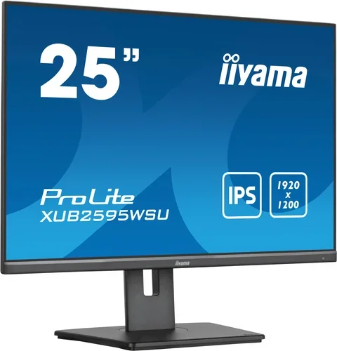 XUB2595WSU-B5 25IN ETE IPS-PANE 300CD/M2 VGA HDMI DISPLAYPORT 4M
