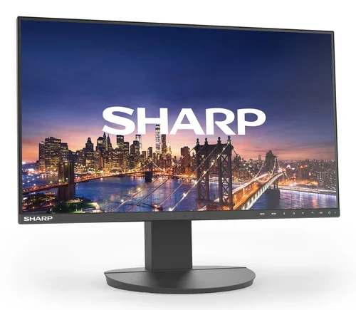 DD-EA241F BLACK 24IN IPS 1920 X 1080 1000:1 250CD