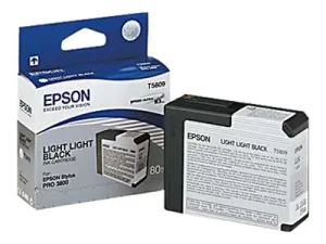 EPSON 5LB T5809 ink cartridge light