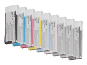 EPSON 5LB T6067 ink cartridge light blac