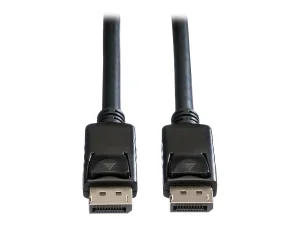 ROLINE DisplayPort Kabel DP ST - ST 10m