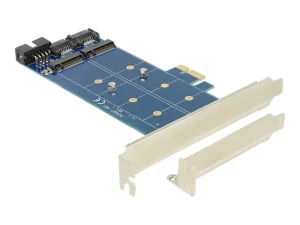 DELOCK PCIe 2 x M.2 NGFF SATA + USB