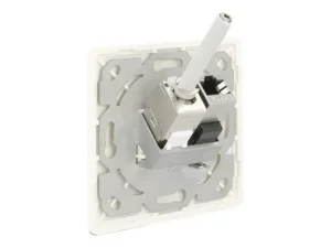 DELOCK Keystone Anschlussdose 2 Port kom