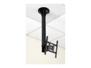 VALUE LCD-/TV-Deckenhalterung 2 Gelenke