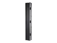 APC ValueLine Vertical Cable Manag 2 & 4