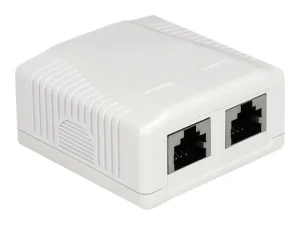 DELOCK Anschlussdose 2 Port Cat.6A LSA