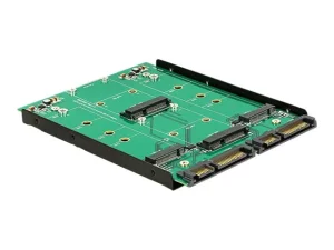 DELOCK 3.5 Konverter 2 x SATA > 2 x M.2