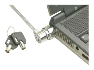 LINDY Diebstahlsicherungs Kabel 2 keys